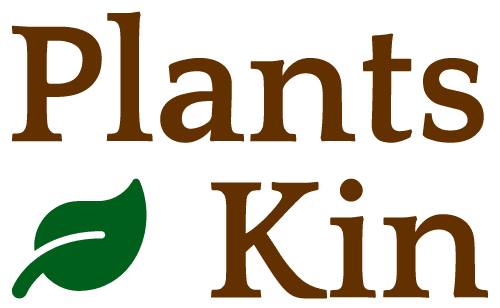 Blog – Plants Kin